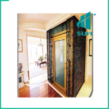 Luxury Home Lift with Competitive Price